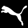 Puma Group